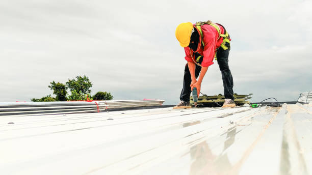 Best Roof Moss and Algae Removal  in Steelton, PA